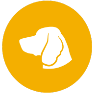 dog bite icon - Cowan & Hilgeman